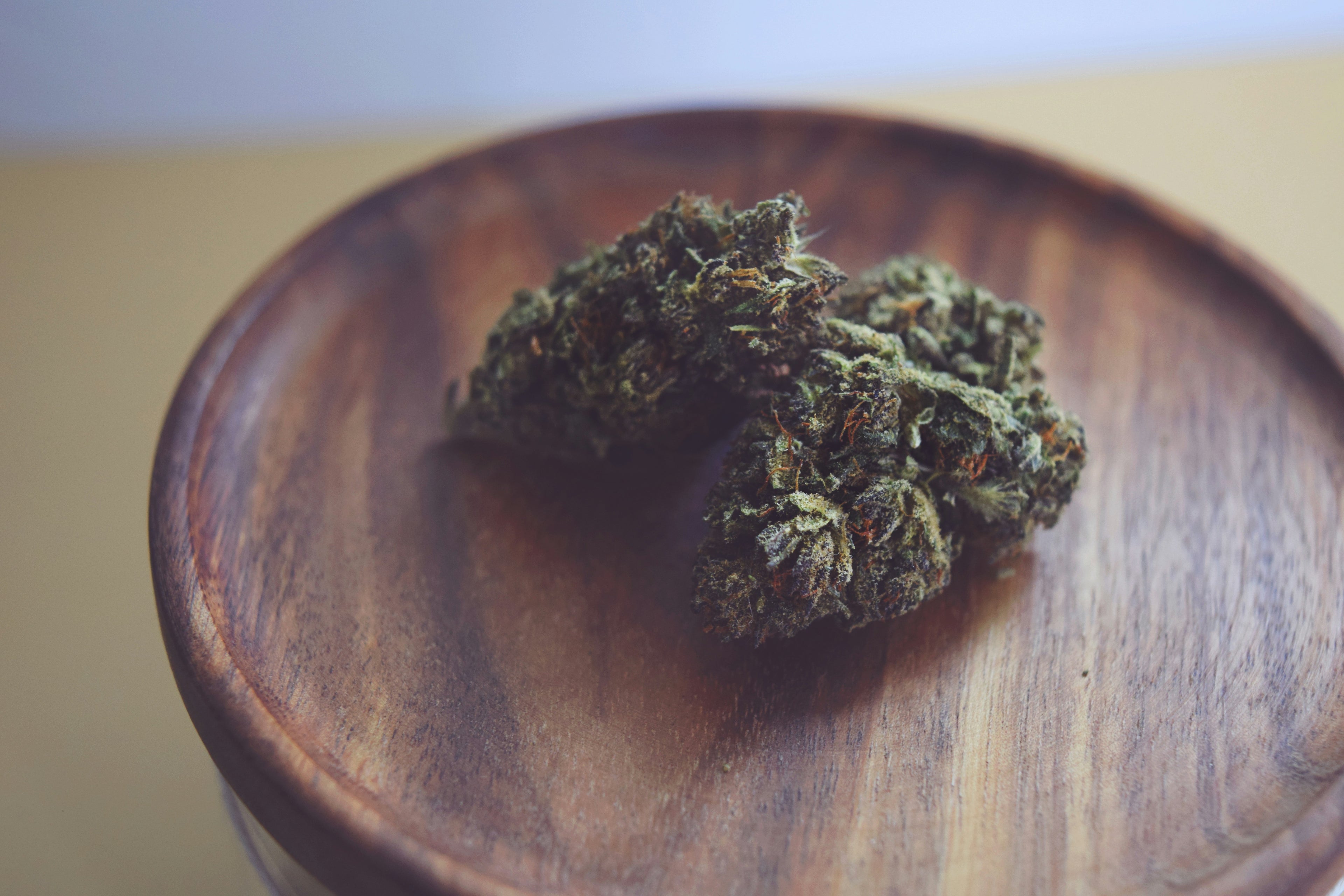 CBD 100% BIO ORIGINE PROVENCE